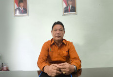 Dari BUMN hingga Tukang Urut: Semua Usaha di Prabumulih Didata dalam Sensus Ekonomi 2026