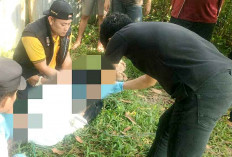  Tragis, Buruh di OI Akhiri Hidup dengan Gantung Diri di Pohon dalam Kebun