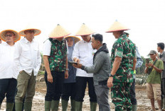 OKU Timur Percepat Cetak Sawah dan Oplah, Siap Jadi Lumbung Pangan Sumsel