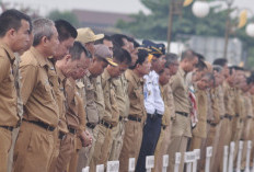 Inilah Aturan Seragam PPPK Terbaru September 2024 Resmi dari Kemendagri