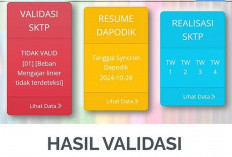 Tips Agar Status NRG Hijau: Ini yang Yang Perlu Dilakukan Agar Data Simtun Lulusan PPG Valid