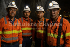 Jadi Lirikan PT Freeport, Ini 14 Kampus yang Lulusannya Banyak Direkrut Perusahaan Tambang Emas Itu