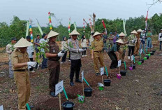 Dukungan Bibit dan Pupuk Tingkatkan Produktivitas Kopi, Harapan Baru untuk Petani Lahat