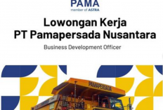 Lowongan Kerja PT Pamapersada Nusantara Posisi Business Development Officer,  Pendaftaran Hingga 31 Mei 2024 