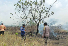 Warga Panik Api Dekati Perumahan, Semak Belukar di Belakang CGC Terbakar, Pj Gubernur Imbau Tak Bakar Lahan