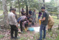 Warga Ngestiboga II Dikejutkan Penemuan Mayat Petani di Kebun Karet, Ini Dugaaan Penyebab Kematian!