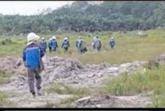 Kadisnakertrans Muba Pastikan Video Viral TKA Kabur Saat di Razia Adalah Hoax; Ungkap Data Resmi Sebaran Tenag