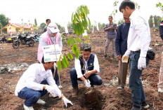 PLN UIP Sumbagsel Tanam 1.500 Pohon, Dorong Kelestarian Lingkungan- Tingkatkan Ekonomi Masyarakat 