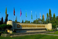 Rincian Biaya UKT Universitas Sriwijaya Jalur Mandiri