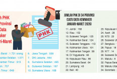 Ekonomi Sedang Tak Baik-Baik Saja, Beda Data Jumlah PHK Pusat-Sumsel, Di Lahat Sudah Tembus 900 Lebih