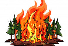 Sumsel Waspada Karhutla, Kemarau 2026 Datang Lebih Awal dengan Durasi Cukup Panjang