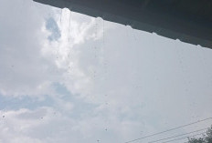 Cuaca Sumsel 1 Juni 2025: Empat Lawang dan Lubuklinggau Waspada Hujan Petir Sore Hari