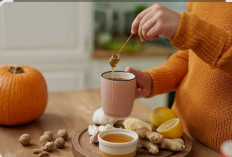 Ramuan Herbal: Senjata Alami Atasi Gangguan Pernapasan