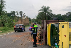 Truk Muatan Kayu Terguling di Jalur Muara Enim-Prabumulih, Lalu Lintas Sempat Tersendat