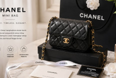 Mini Bag Chanel Jadi Favorit Pecinta Fashion Berkat Desain Ikoniknya