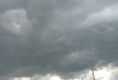 Cuaca Sumsel 11 Agustus 2025: Hujan Petir Mengintai di Malam Hari