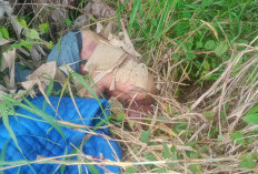 Tragedi Pembunuhan di Banyuasin: Mayat Pria Ditemukan Terikat Tali Rafia di Pinggir Jalan