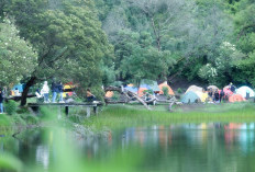 Kawasan Wisata Ranu Regulo Kembali Dibuka 10 September 2024, Ini Syarat Masuknya!