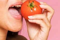 11 Manfaat Mengkonsumsi Tomat, Nomor 3 Banyak Ditakuti Manusia