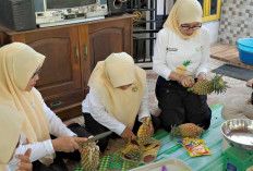 Kembangkan Nanas Jadi Produk Bernilai