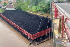 Tongkang Batu Bara Hantam Fender Jembatan Sungai Lilin, Diduga Akibat Tali Lepas