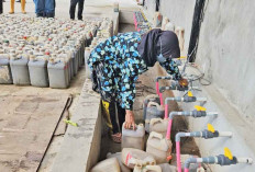  Produksi Pupuk Organik,KUD Bina Sejahtera Buka Lapangan Pekerjaan 