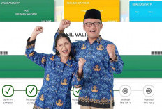 Validasi Segera Beres! 598.558 Lulusan PPG 2024 Terima TPG Pada Maret 2025, Ini Cara Cek NRG Penerimanya