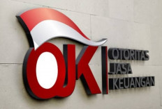 Nah Loh, OJK Tegaskan Pencairan Paylater Ilegal, Risiko Data Pribadi dan Skor Kredit Mengancam Pengguna