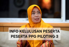 Dirjen Nunuk Pastikan Peserta PPG Piloting 3 Belum Tentu Lulus Semua, Jika Gagal Ikut UKPPPG 2025