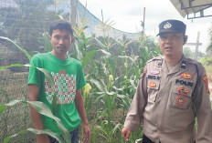 Hasil Panen Dijual, Tambah Penghasilan