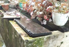  Tak Beri Pelet, Beri Sayuran dan Nasi