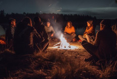 Tips dan Rekomendasi Makanan Praktis untuk Camping Seru, Aman dan Nyaman Bersama Teman-teman