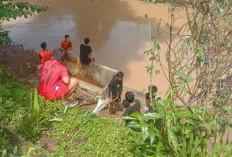 Pencarian Bocah Tenggelam di Sungai Mesat Libatkan Tim Gabungan, Diduga Terjebak di Rumpun Bambu