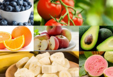 Tinggi Nutrisi, Ini 7 Buah-buahan yang Dapat Membantu Meningkatkan IQ dan Kecerdasan Otak