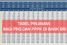 Bank BRI Luncurkan Pinjaman Tanpa Jaminan Bagi PNS dan PPPK Agustus 2024, Cek Tabel Angsurannya