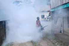 Gencar Berantas DBD dan Malaria, Warga Merapi Timur Ramai-ramai Buru Jentik