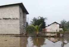 Sungai Meluap, Puluhan Rumah Warga di Desa Sembatu Jaya Terendam Banjir