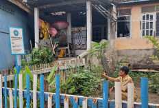 Kelurahan Pasar Baru Manfaatkan Lahan Samping Kantor Tanam Cabai, Tomat