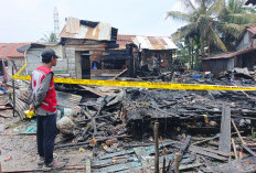 Empat Rumah Ludes Dilalap Api di Permukiman Padat Palembang, Dugaan Awal Korsleting Listrik