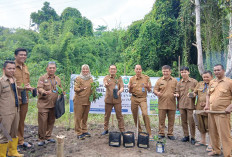 Samsat Prabumulih Ubah Lahan Kosong Jadi Kebun Sayur, Dukung Gerakan Sumsel Mandiri Pangan