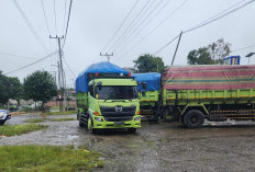 Lagi Tim Gabungan Kandangkan 4 Armada Truk Batubara di Lubuklinggau