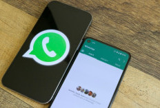Waspadai 5 Modus Penipuan WhatsApp yang Patut Anda Ketahui
