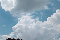 Prakiraan Cuaca Sumsel 5 Juli 2025, 4 Daerah Waspada Hujan Petir Malam Hari