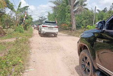 Bakal Dibangun Sepanjang 3 KM