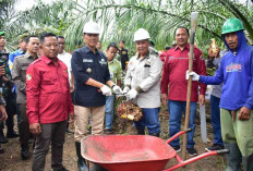 Tiga KUD Desa Karyamukti Sukses Panen Sawit Berkat Pupuk Organik dan Pendampingan Pemerintah