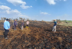  Waspada Karhutla, Delapan Hektare Lahan Kosong di Tulung Selapan Terbakar
