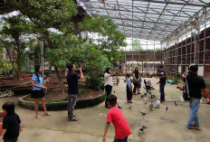 Manfaatkan Libur Tahun Baru 2026, Ratusan Pengunjung Kunjungi Palembang BirdPark