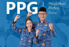 Hampir 100 Persen Peserta Lulus UKPPPG, Ini Rincian Besaran TPG Jika Nanti Sudah Miliki Serdik