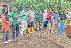 Uji Coba Tanam Bawang, Lanjutan Kegiatan Pembagian Bibit