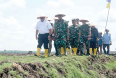 Tanam Padi Pakai Drone di OKI, Pertanian Makin Modern